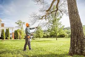 Best Commercial Tree Services  in Bonne Terre, MO